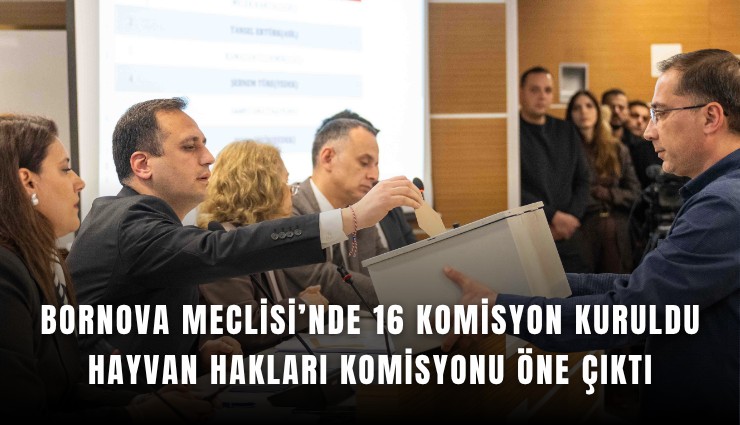 Bornova Meclisi’nde 16 komisyon kuruldu, Hayvan Hakları Komisyonu öne çıktı