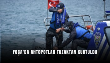 Foça'da ahtopotlar tuzaktan kurtuldu