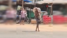 Hindistan’da bir adam para çekmek için kardeşinin iskeletiyle bankaya gitti