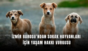 İzmir barosu’ndan sokak hayvanları için yaşam hakkı vurgusu