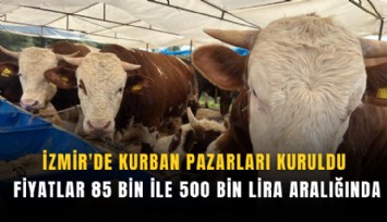 İzmir'de kurban pazarları kuruldu: Fiyatlar 85 bin ile 500 bin lira aralığında