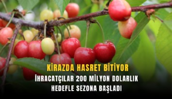 Kirazda hasret bitiyor: İhracatçılar 200 milyon dolarlık hedefle sezona başladı