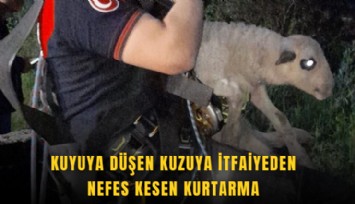 Kuyuya düşen kuzuya itfaiyeden nefes kesen kurtarma