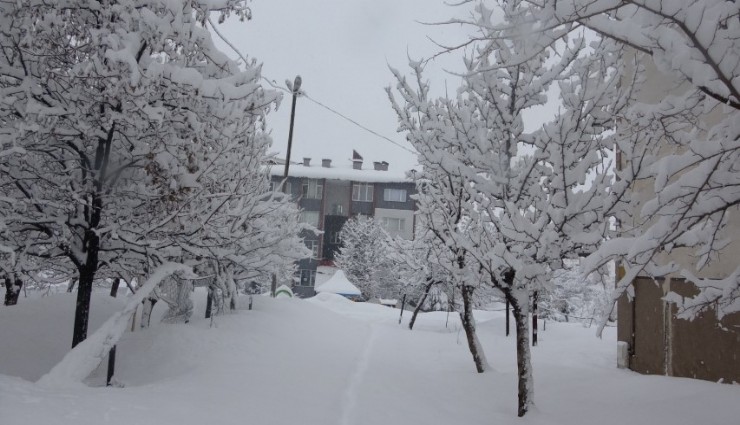 Nisan ortasında 11 köy yolu kar nedeniyle ulaşıma kapandı