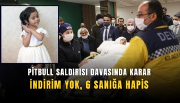 Pitbull saldırısı davasında karar: İndirim yok, 6 sanığa hapis