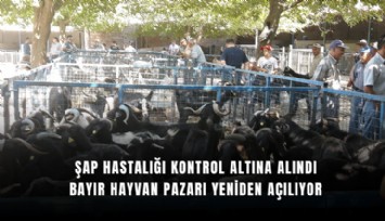 Şap hastalığı kontrol altına alındı: Bayır Hayvan Pazarı yeniden açılıyor