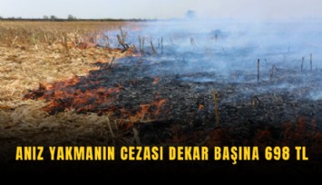 Anız yakmanın cezası dekar başına 698 TL