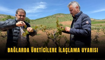 Bağlarda üreticilere ilaçlama uyarısı
