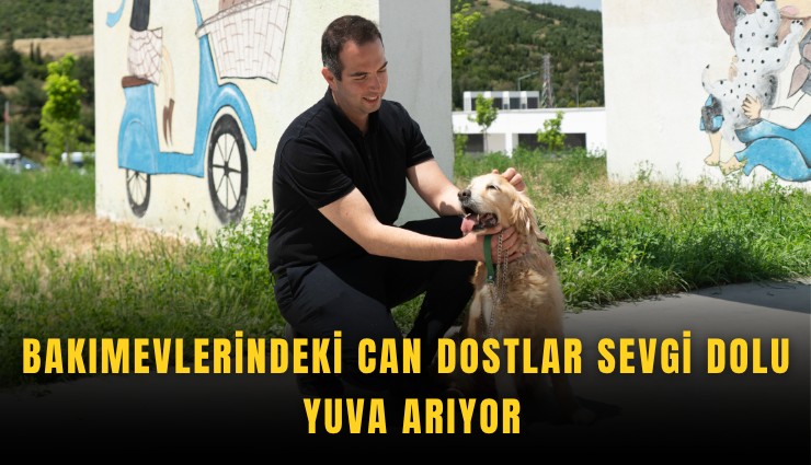 Bakımevlerindeki can dostlar sevgi dolu yuva arıyor