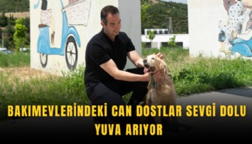 Bakımevlerindeki can dostlar sevgi dolu yuva arıyor