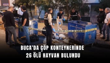 Buca’da çöp konteynerinde 26 ölü hayvan bulundu