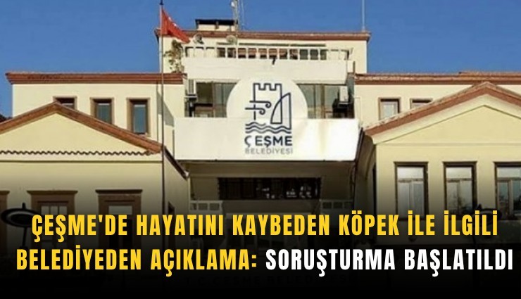 Çeşme'de hayatını kaybeden köpek ile ilgili belediyeden açıklama: Soruşturma başlatıldı