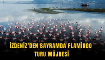 İZDENİZ’den bayramda flamingo turu müjdesi