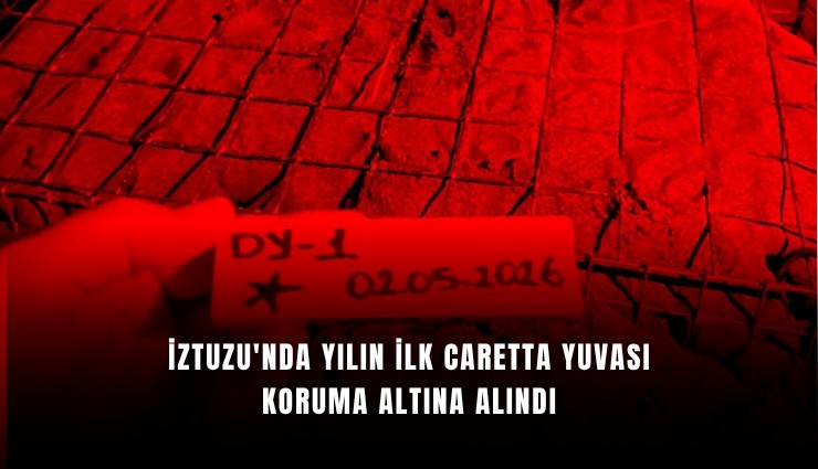İztuzu'nda yılın ilk caretta yuvası koruma altına alındı