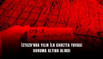 İztuzu'nda yılın ilk caretta yuvası koruma altına alındı