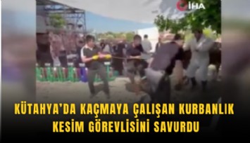 Kütahya’da kaçmaya çalışan kurbanlık kesim görevlisini savurdu