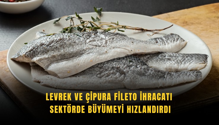 Levrek ve çipura fileto ihracatı sektörde büyümeyi hızlandırdı