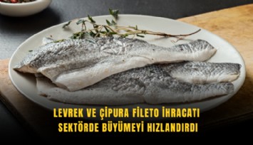 Levrek ve çipura fileto ihracatı sektörde büyümeyi hızlandırdı