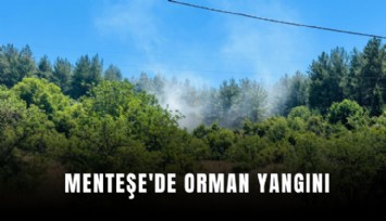 Menteşe'de orman yangını