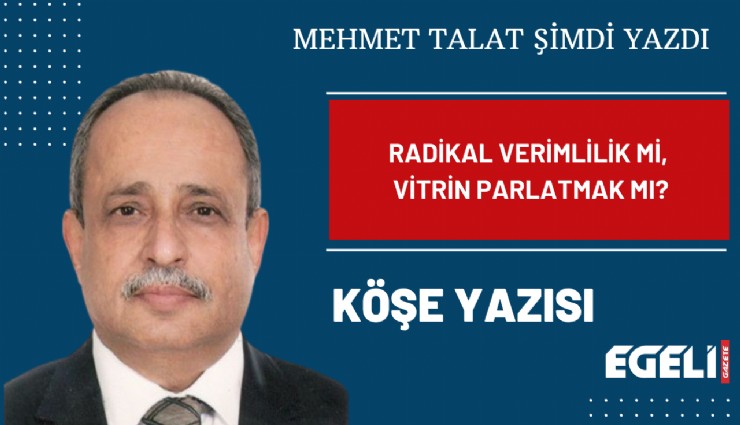 Radikal verimlilik mi, vitrin parlatmak mı?