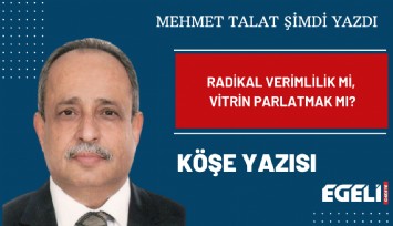 Radikal verimlilik mi, vitrin parlatmak mı?