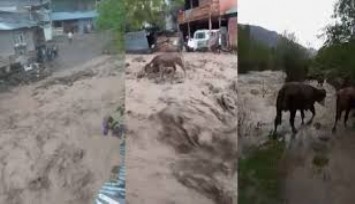 Şebinkarahisar’da şiddetli yağış