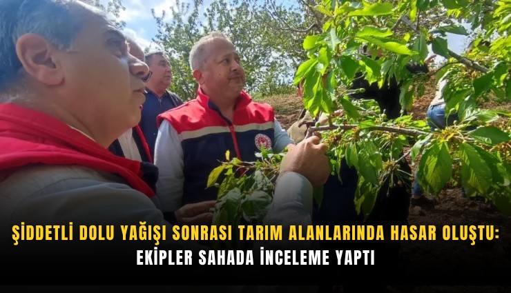 Şiddetli dolu yağışı sonrası tarım alanlarında hasar oluştu: