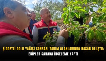 Şiddetli dolu yağışı sonrası tarım alanlarında hasar oluştu: