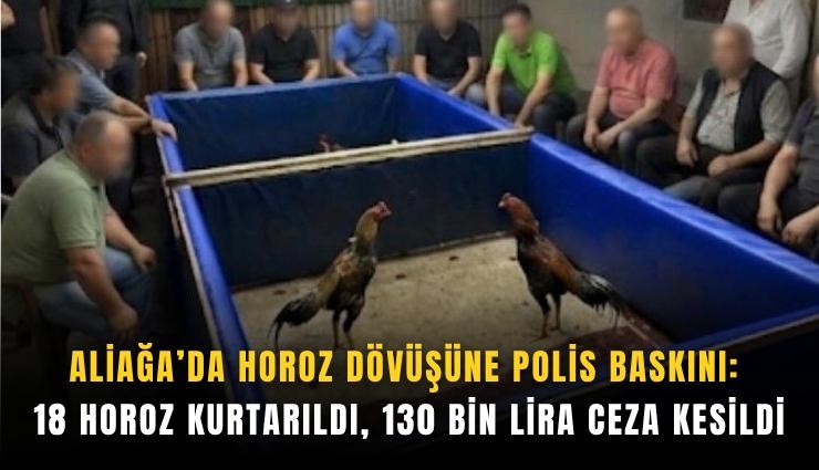 Aliağa’da horoz dövüşüne polis baskını: 18 horoz kurtarıldı, 130 bin lira ceza kesildi