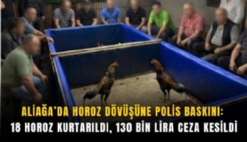 Aliağa’da horoz dövüşüne polis baskını: 18 horoz kurtarıldı, 130 bin lira ceza kesildi
