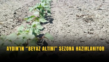 Aydın’ın Beyaz altını sezona hazırlanıyor