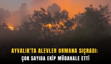 Ayvalık'ta alevler ormana sıçradı: Çok sayıda ekip müdahale etti