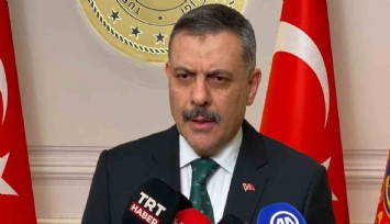 Bakan Çiftçi: Yıl sonuna kadar tüm sokak köpekleri barınaklara alınacak