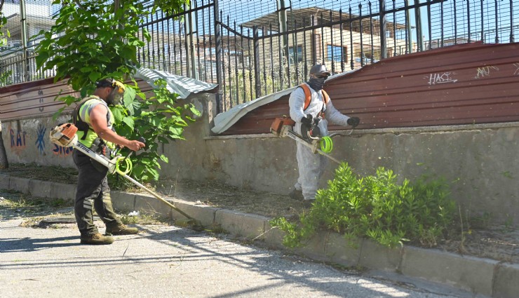 Bornova'da yaz temizliği başladı