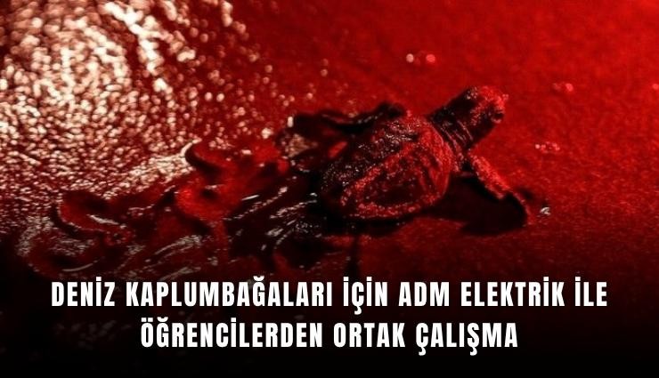 Deniz kaplumbağaları için ADM Elektrik ile öğrencilerden ortak çalışma