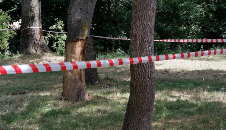 İstanbul Valiliği’nden ormanlara giriş kısıtlaması kararı