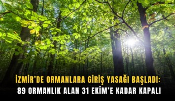 İzmir’de ormanlara giriş yasağı başladı: 89 ormanlık alan 31 Ekim’e kadar kapalı