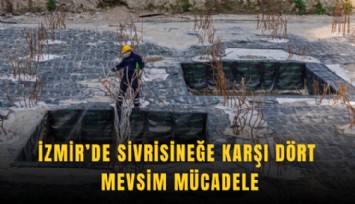 İzmir’de sivrisineğe karşı dört mevsim mücadele