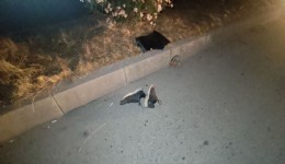 Kızını YKS’ye götürüyordu: Feci kazada hayatını kaybetti