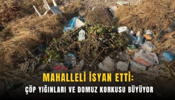 Mahalleli isyan etti: Çöp yığınları ve domuz korkusu büyüyor