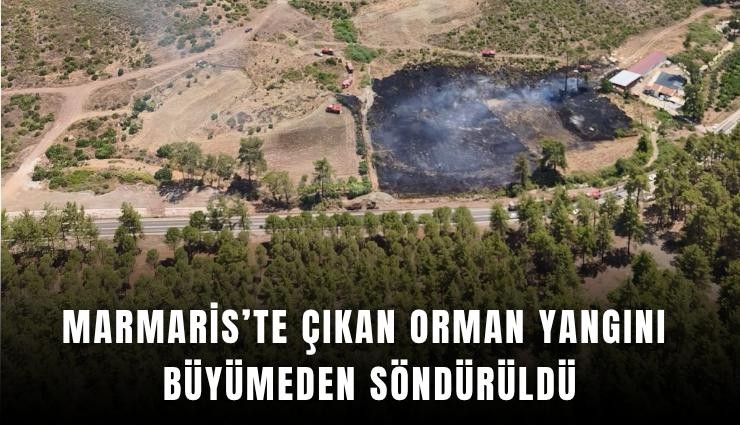 Marmaris’te çıkan orman yangını büyümeden söndürüldü