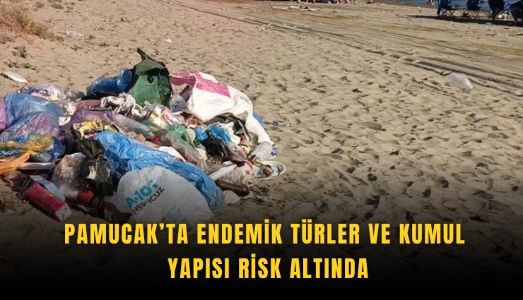 Pamucak’ta endemik türler ve kumul yapısı risk altında