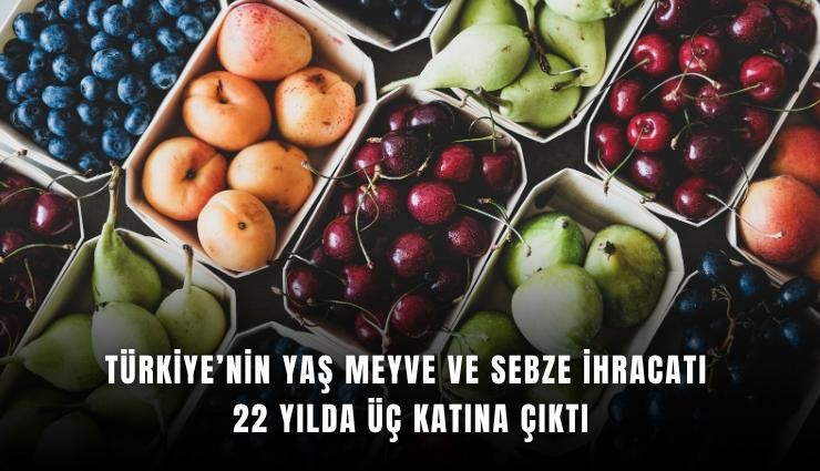 Türkiye’nin yaş meyve ve sebze ihracatı 22 yılda üç katına çıktı