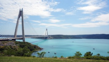 Turkuaza dönen İstanbul boğazında yunuslar akın etti