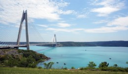 Turkuaza dönen İstanbul boğazında yunuslar akın etti