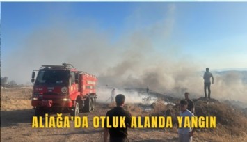 Aliağa'da otluk alanda yangın