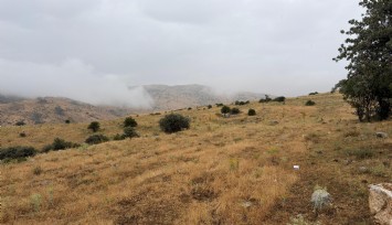 Ankara'da yıldırım can aldı