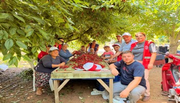 Bayındırlı gençler kiraz hasadına katıldı, üreticilere destek verdi