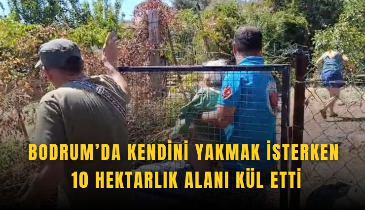 Bodrum’da kendini yakmak isterken 10 hektarlık alanı kül etti