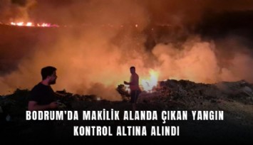 Bodrum'da makilik alanda çıkan yangın kontrol altına alındı